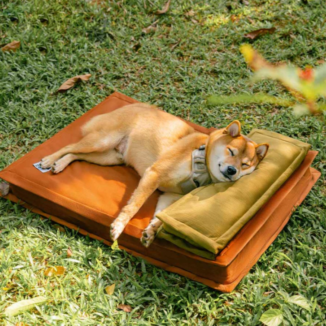 CalmiNest™ | Anti-Anxiety Dog Bed Large, Soft Plush Fabric, Memory Sponge Support - Buy 1 for £14.95 • Get 2 for Only £24.95